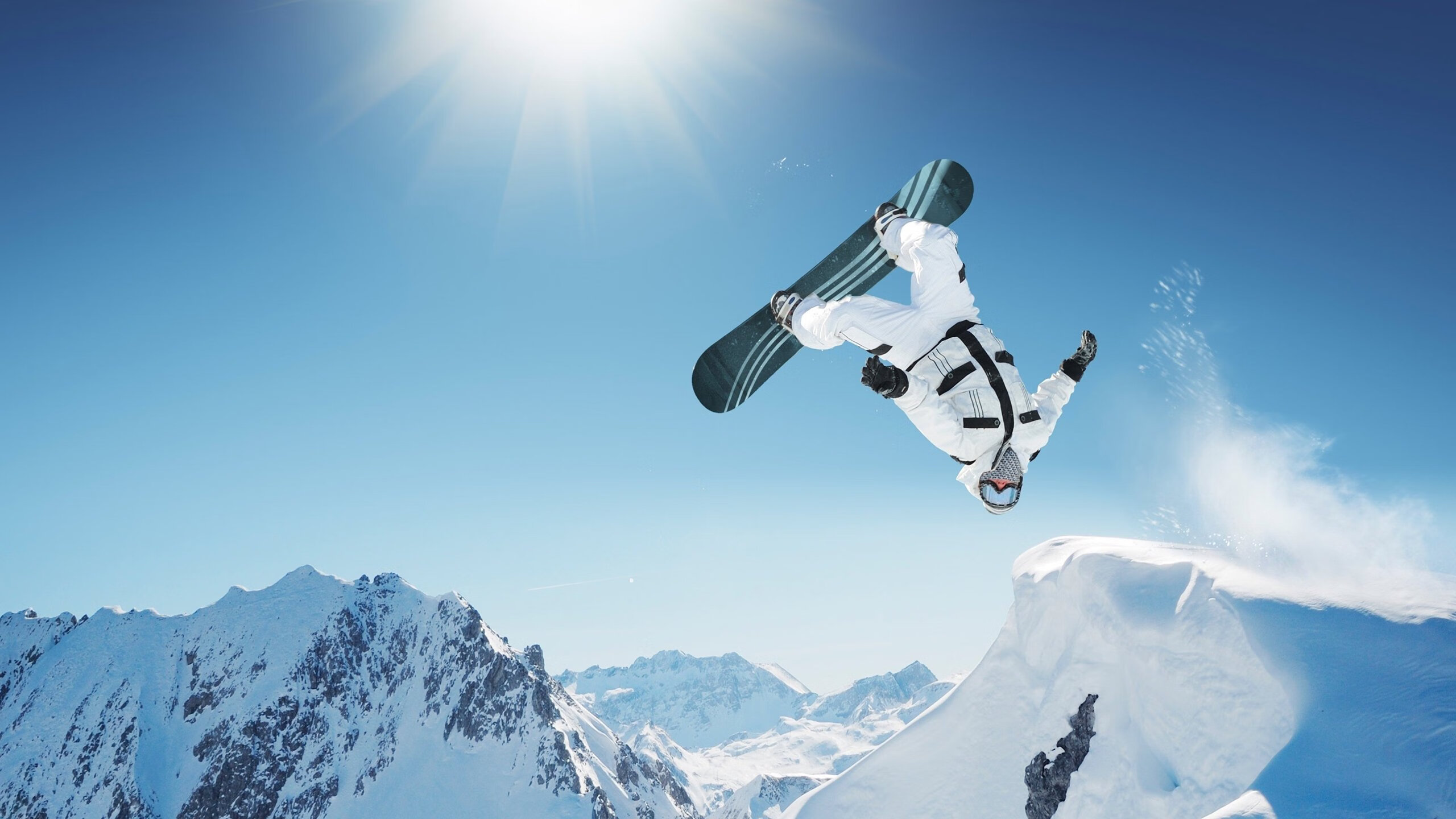 最“萌”的比赛：球迷与动物的趣味互动，动物踢球的游戏